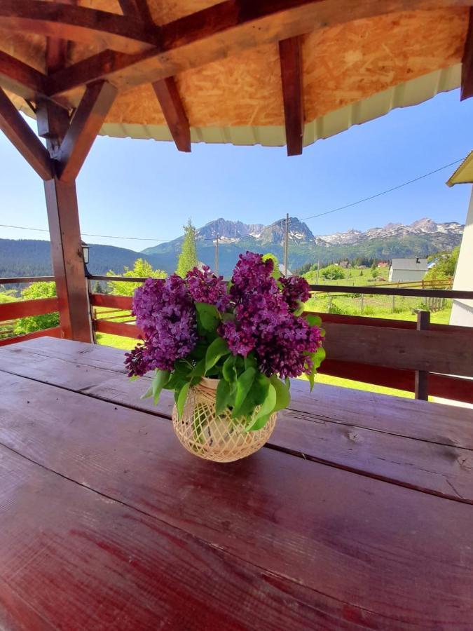 Durmitor Apartman Pitomine Zabljak  Exterior photo